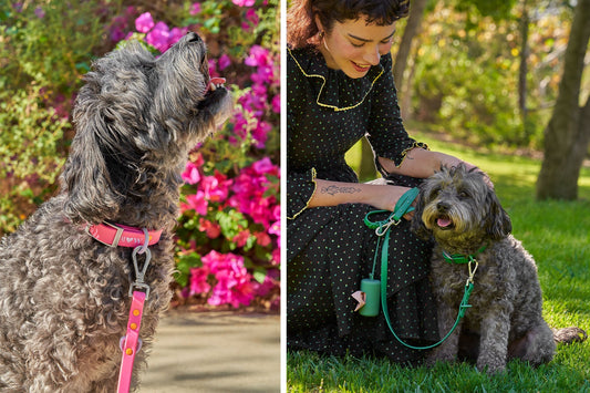 Earth Day, Everyday: Sustainability Initiatives We've Implemented