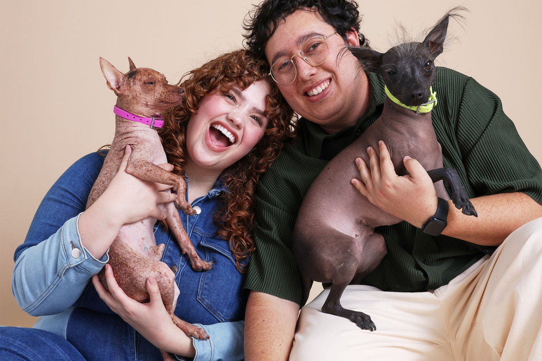 Meet Bree Kish: Modeling & Sweet Moments With Her Rescue Xoloitzcuintles