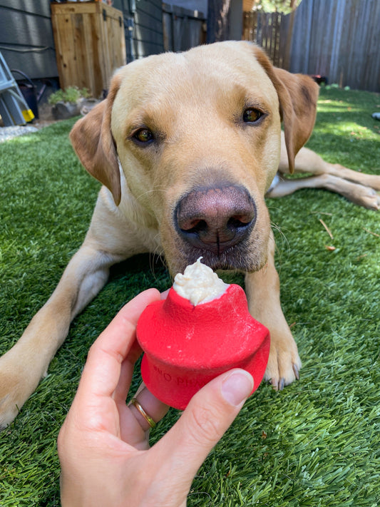Freezable Dog Toys: A Summer Treat Hack & Recipe You’ll Love