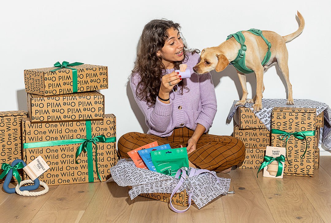 Gifts for Dog Lovers: gifts for dogs, gifts for new dog parents 2021, dog gift guide, puppy gifts