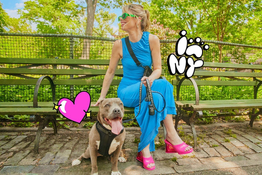 Meet Arianna Margulis: NYC Cartoonist & Creator of But Like Maybe