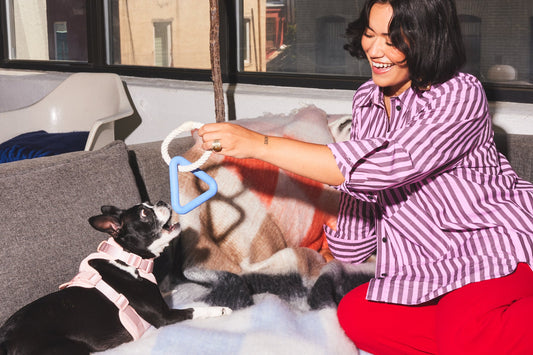 Everything You Need to Know to Raise a Happy, Healthy Puppy