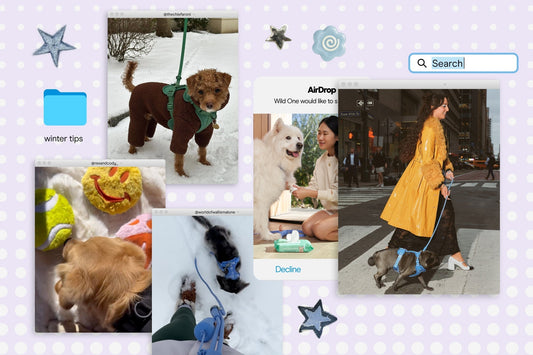 Wild One Winter Survival Guide