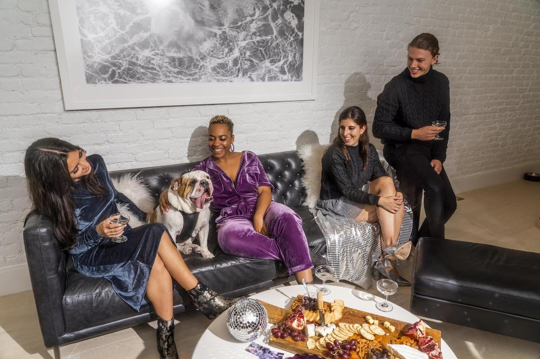 holiday safety tips for dogs: dog anxiety, dog travel, best dog products, dogs at parties, holiday gifts for dogs, puppy gifts