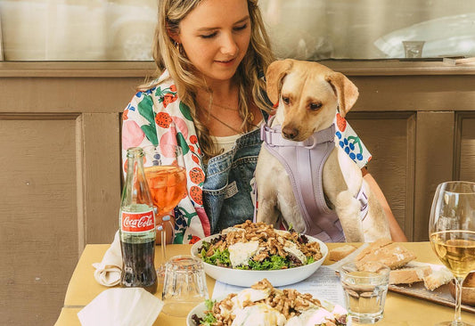 Pet Friendly Restaurants in New York City: brunch with your dog, dog friendly restaurants, new york city guide, best restaurants in NYC, dog friendly activities in new york