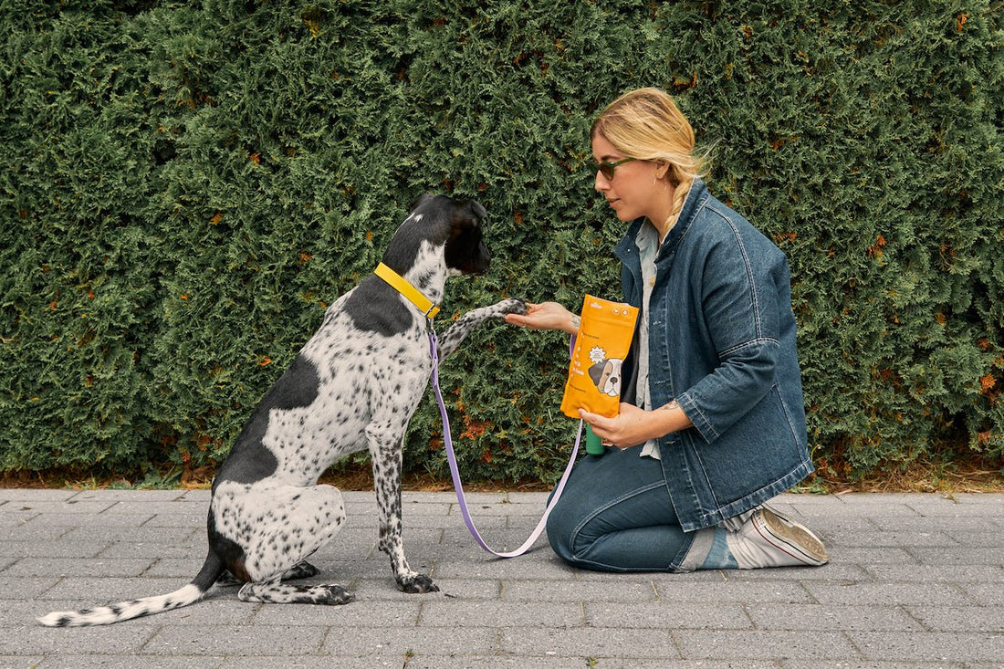 organic dog treat: healthy dog treats, plant-based dog treats, dog nutrition, grain free dog treats, dog training, baked dog treats, dog treat recipes, low calorie dog treats