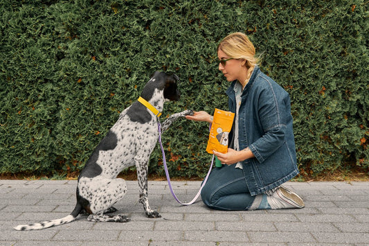 organic dog treat: healthy dog treats, plant-based dog treats, dog nutrition, grain free dog treats, dog training, baked dog treats, dog treat recipes, low calorie dog treats