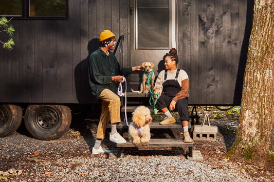 Hiking gear for dogs: best leash for hiking, durable dog gear, hiking with your dog, waterproof leash and collar, camping with your dog, best dog friendly hikes