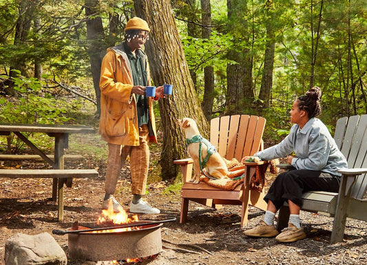 Dog Hiking Gear You Need For Hiking With Your Dog: tips for hiking with your dog, best dog harness for hiking, waterproof dog leash, dog-friendly hiking trails, camping with your dog, dog collar, dog hiking safety