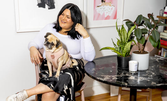 Meet Nicolette Mason: This Pug Requires Formal Goodbyes