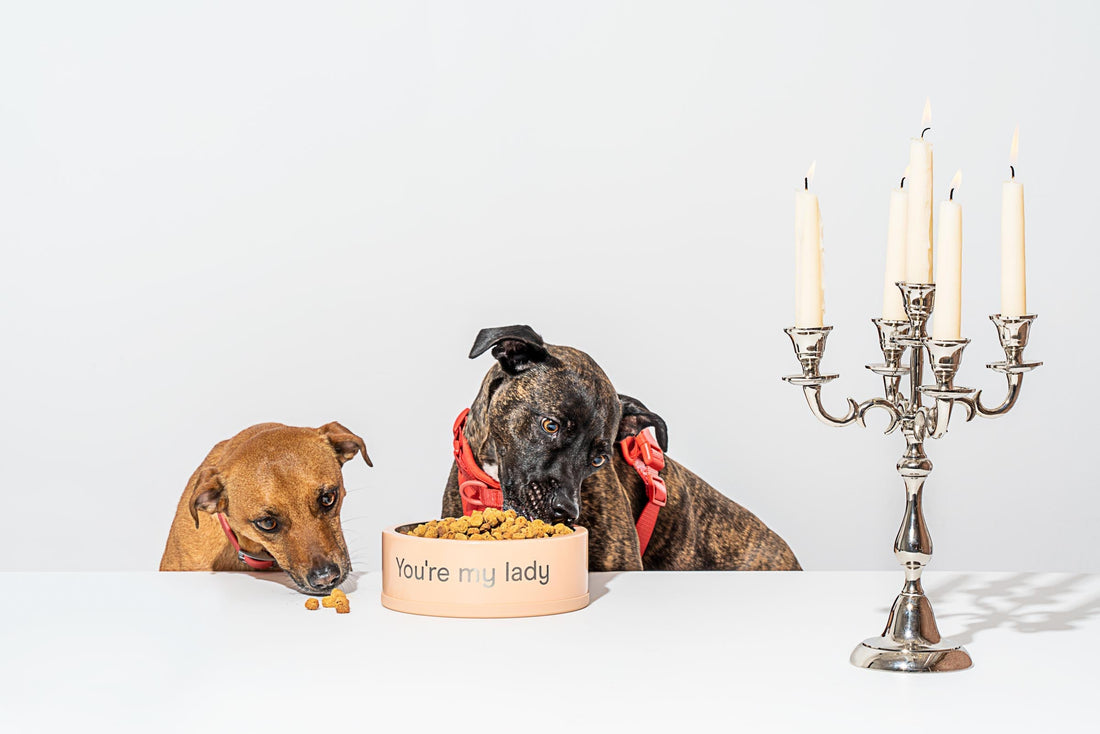 Disney Dog Names: most popular dog names, dogs named after disney characters, unique dog names, disney dog movies