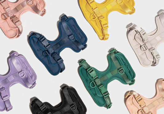 Best Escape Proof Dog Harness For Your Squirmy Pup