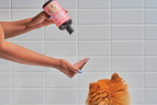 How To Groom a Dog: The Ultimate At-Home Guide; dog shampoo, dog grooming, best dog brush, grooming supplies, small dog breeds