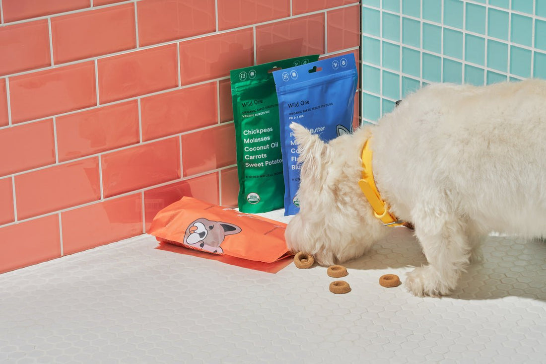 Natural Treats for Dogs: Are There Benefits? organic dog treats, single-ingredient dog treats, dog food allergies, best dog treats, bake dog biscuits, healthy dog treats 