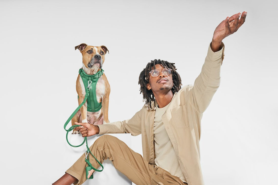 the best heavy duty dog harnesses: no-pull dog harness, best dog harnesses, fashionable dog harness, designer dog harness, comfortable dog harness, adjustable dog harness, small dog harness, large dog harness