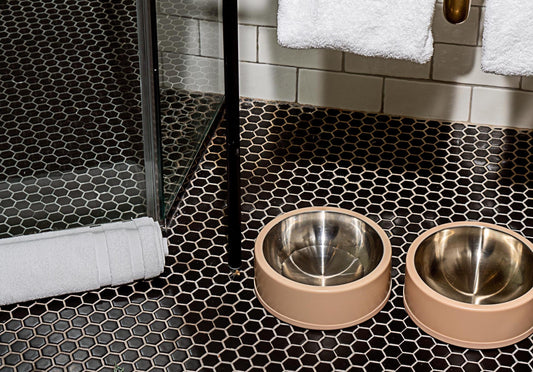 Which Dog Feeder is Best for Your Picky Eater? Stainless steel dog bowls, non-slip dog bowls, yeti dog bowls, slow feeders, large dog bowls, minimalist dog bowls, black dog bowl