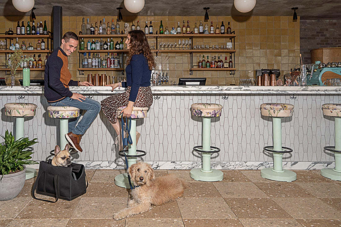 A Manhattan Guide to Eating and Drinking With Your Dog