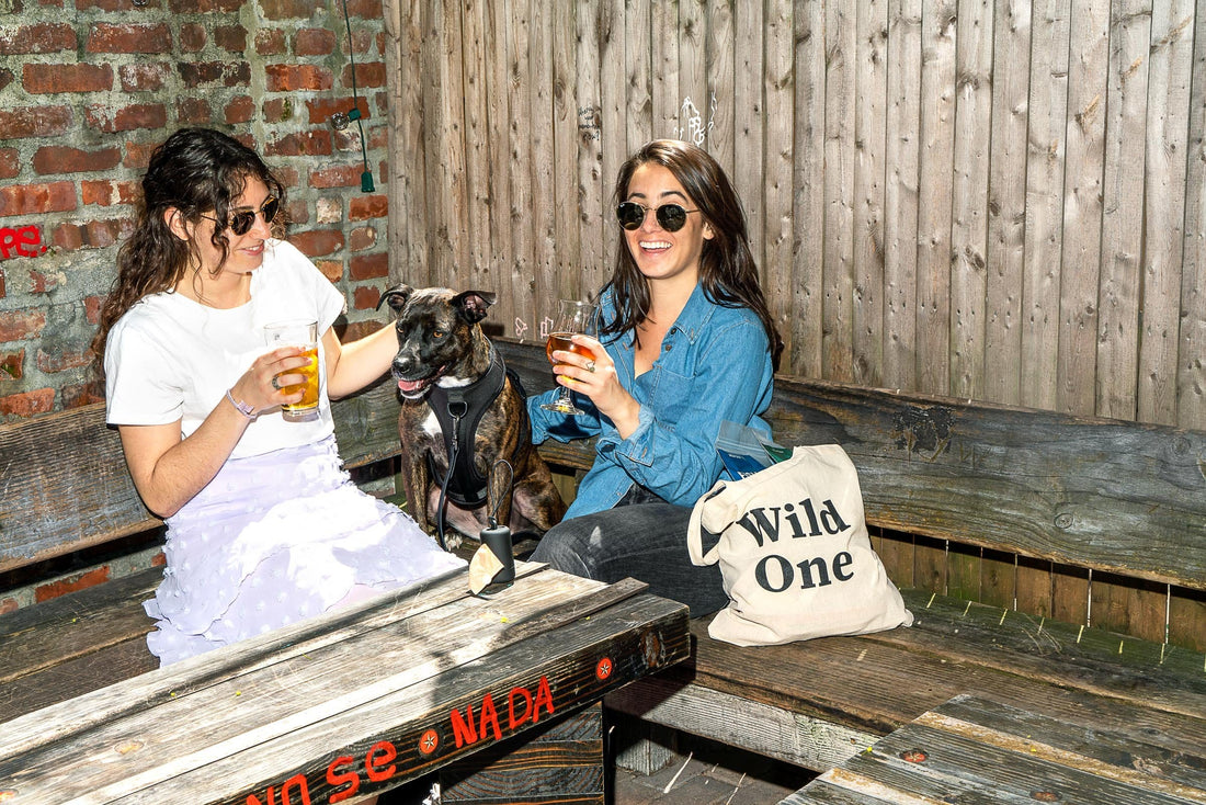 Brooklyn Guide to Eating and Drinking With Your Dog