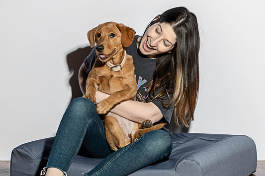 The Best Toys for Puppies