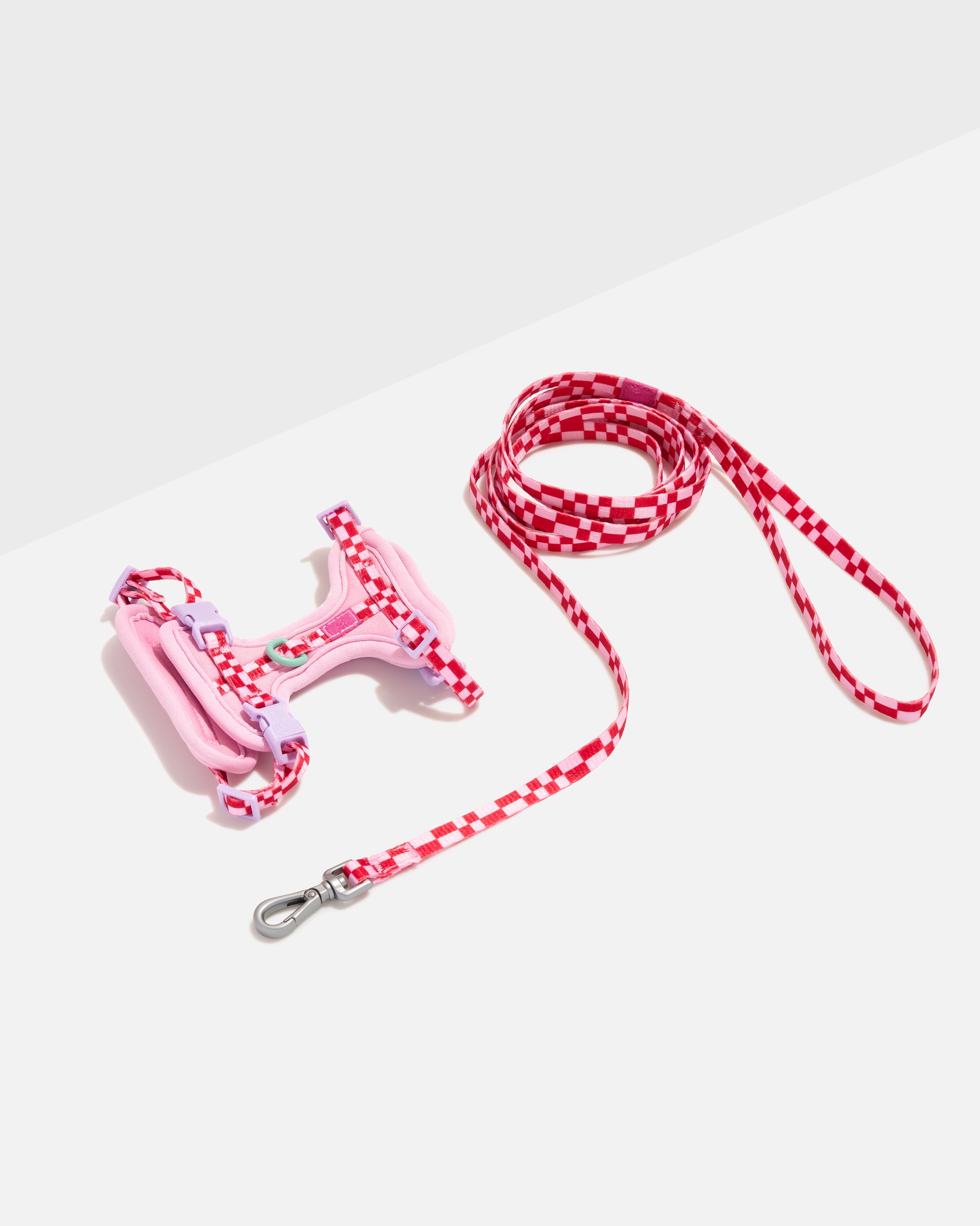 Bubblegum | Kitten Size