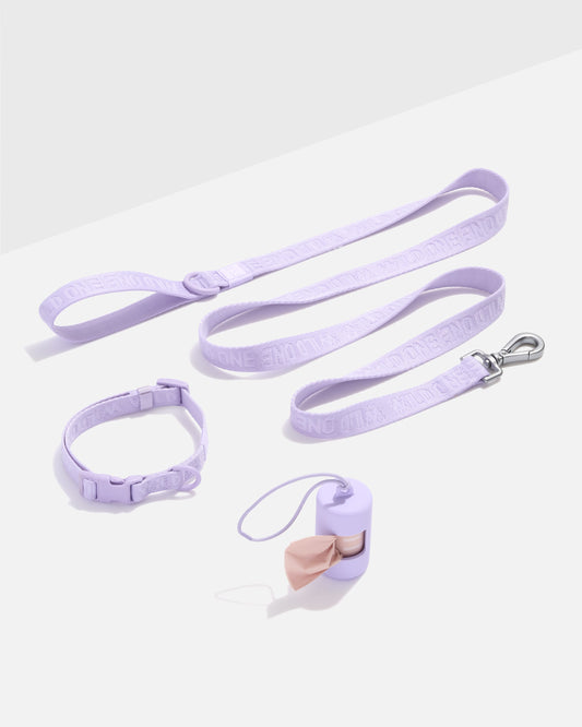 Quick-Release Collar + Lightweight Leash Walk Kit