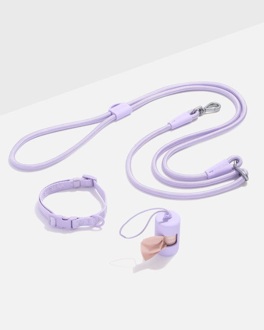 Quick-Release Collar + Hands-Free Rope Leash Walk Kit