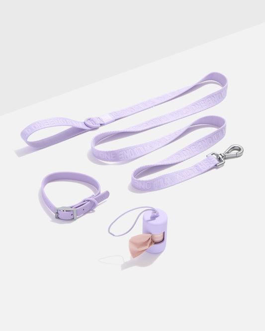 Waterproof Collar + Lightweight Leash Walk Kit