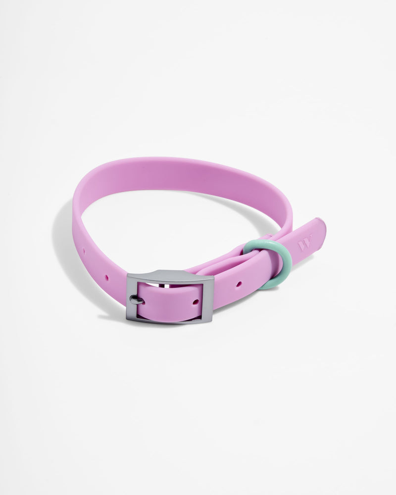 Waterproof Dog Collar
