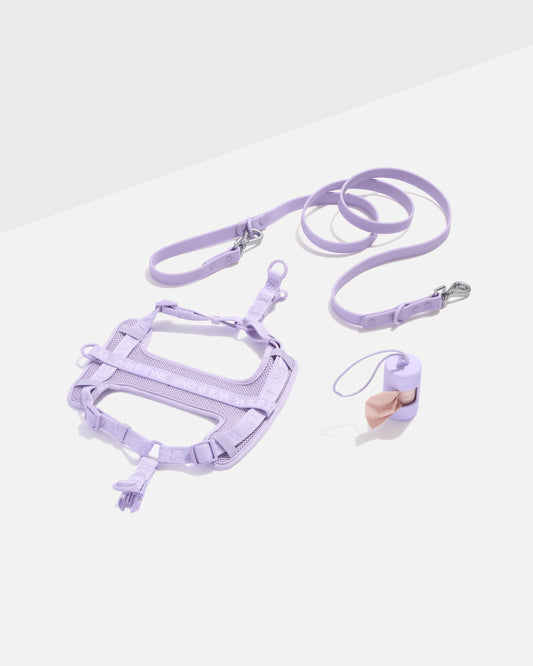 Step-In Harness + Waterproof Leash Walk Kit
