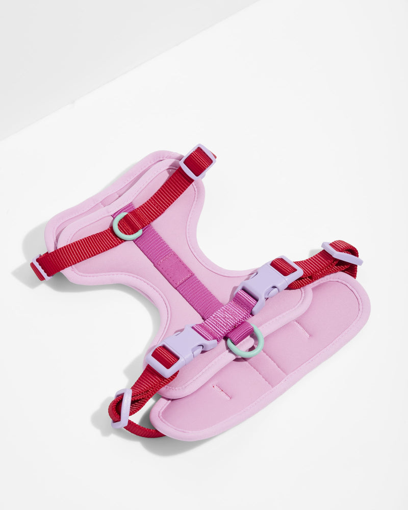 Cushioned Dog Harness