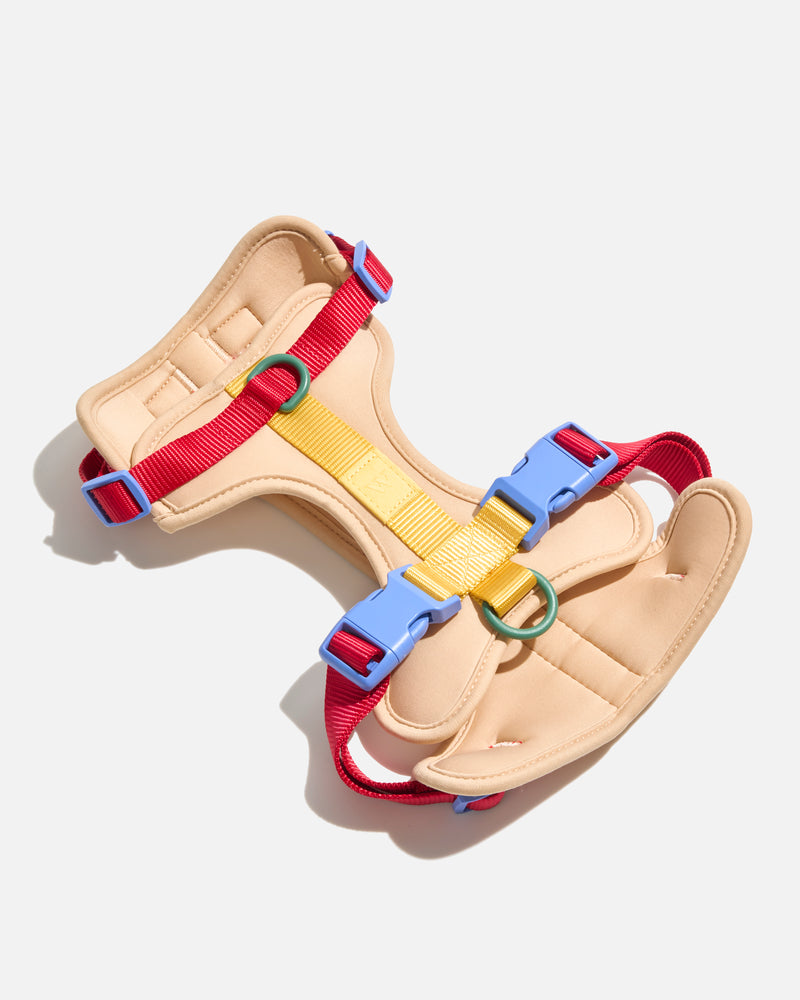 Cushioned Dog Harness