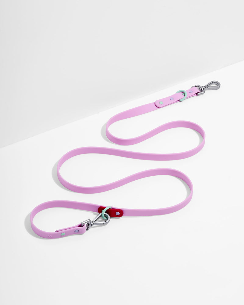 Waterproof Dog Leash