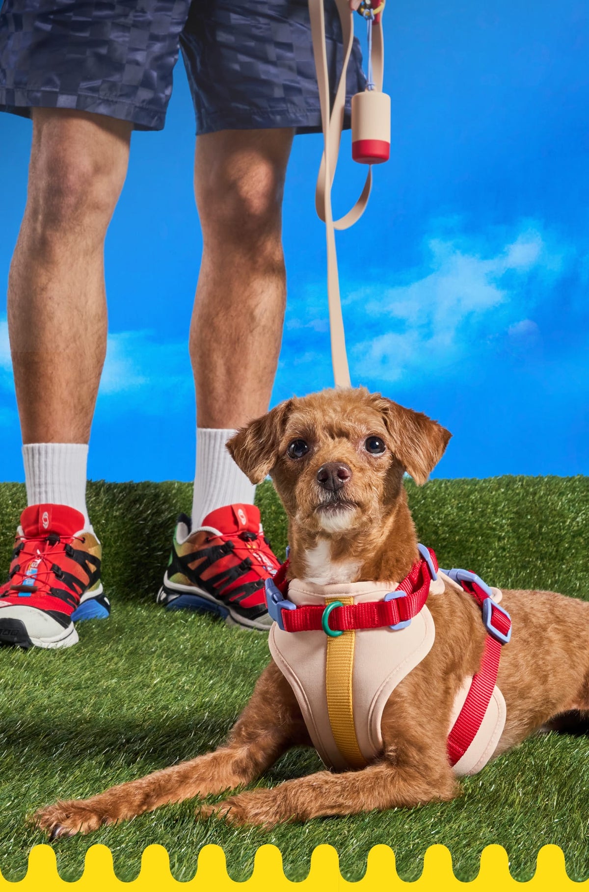 The Cushioned Harness